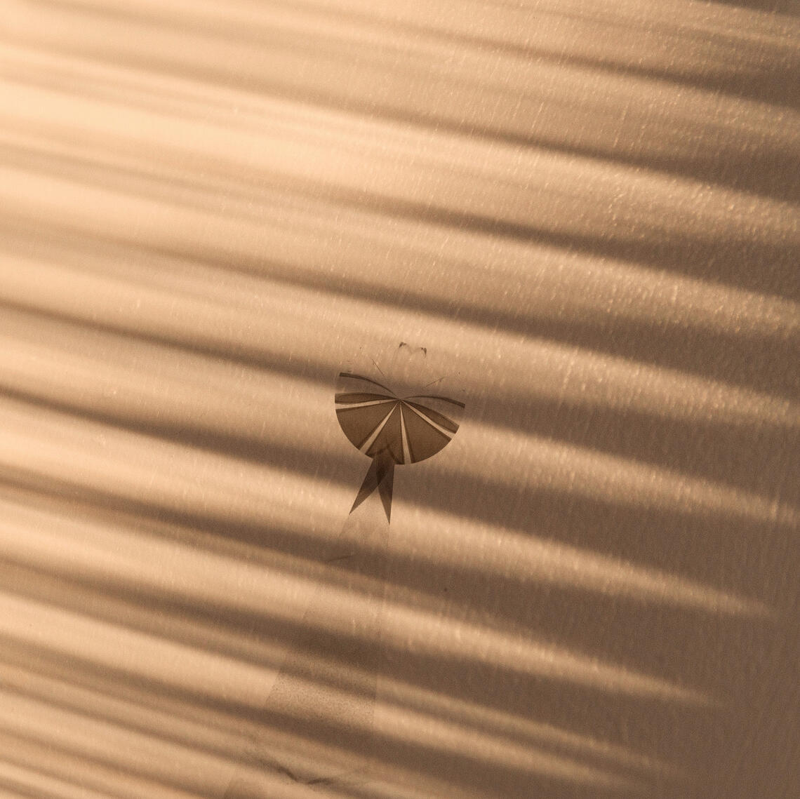 Identity Crisis Album Identity Crisis Album